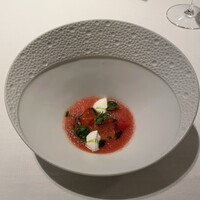 SCALAE - 
