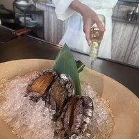 表参道うかい亭 - 