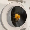Pigeon -