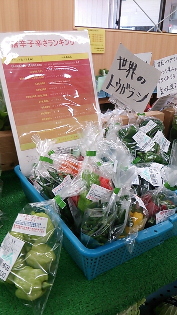 農の駅伊豆・修善寺営農センター name=