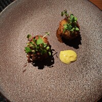 インカメラ コン テラッツァ - 