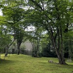 Cresson River Side Story