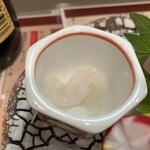 居酒屋 舞子 - 不漁で手に入らない「富山湾の宝石・白エビ」も