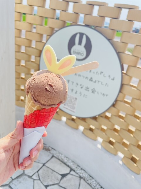 cafeうさぎのしろ>