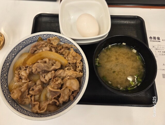 Yoshinoya Meieki Sanrodo Ten photo 5