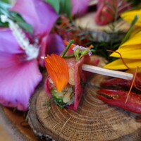 KURKKU FIELDS perus - フィンガーフード