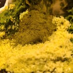 大和茶大福専門店GRANCHA - ソルビンスタイル