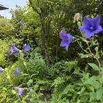 沈壽官茶寮 美山 - 庭のお花が美しい