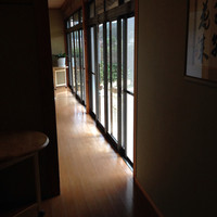 山茶花 - 