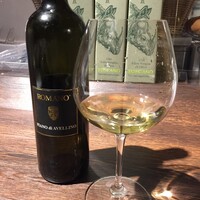アクイロット - イタリアワイン　白