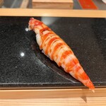 鮨と天草大王 天音 - 