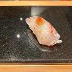 鮨と天草大王 天音 - 