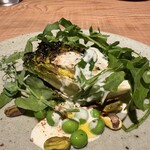GERMOGLIO - 