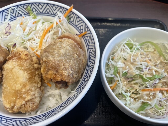 Yoshinoya Gotanda Ekimae Ten photo 5