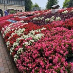 チョコレートラウンジ・オックスフォード - 