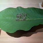 杦 - 