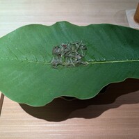 杦 - 