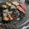 炭焼ホルモン ごくらく  平岸店