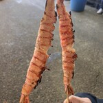 サングリーン旭 - 