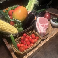 オッジ ダルマット 西麻布店 - 