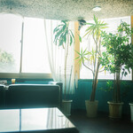 フロリダ - 内観