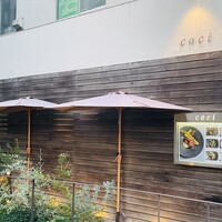 coci - 