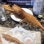がってん寿司 - オススメです
