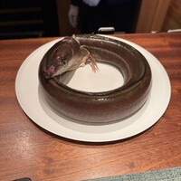 蒼 - 