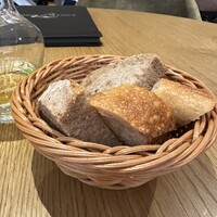 Loiseau de France - 