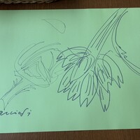 オステリアガウダンテ 神戸ハーバーランド店 -  オステリアガウダンテ 神戸ハーバーランド店 -