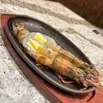 肉の匠 将泰庵 - 