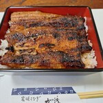 炭焼うなぎ 加茂 - 