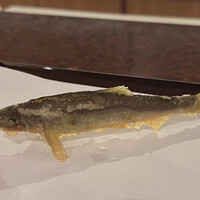 京都 天ぷら圓堂 岡ざき邸 - 