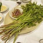 プルトゥンヌンテジ - 