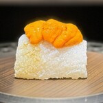 mikami limited50 - 雲丹と泥障烏賊