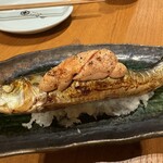 炭炉ばた こみ哉 松山 - 