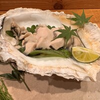 シーズン - 