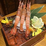 北海道海鮮・個室情緒 ～ ２３番地 ～ 新宿東口店 - 