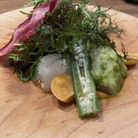 Selvaggio - 