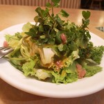 フライングガーデン - たっぷりクレソン ￥660