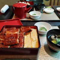 炭焼きうなぎ・かしわ 登河 - 