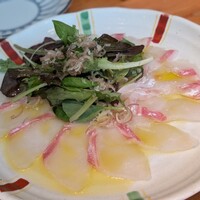 茶茶 このか - 