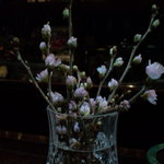 BAR ル・ヴェール - さくら・・。