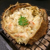 八千代本店 - 