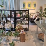 レストラン・アスペルジュ - 