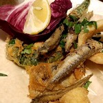 ブラチェリア デリツィオーゾ イタリア - フリット(稚鮎、イカ、アナゴ、万願寺唐辛子)