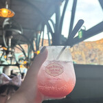 ノーチラスギャレー - 