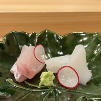 櫻木 - お造り：アラ 輪島より、アオリイカ 佐島より