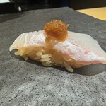 大阪 京橋 鮨 黒潮海閤 - 