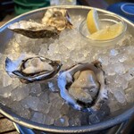 THE RIGOLETTO OCEAN CLUB - 